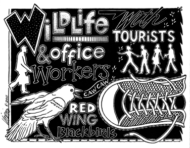 Wildlife with Tourists and Office Workers